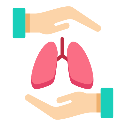 Sistema respiratorio