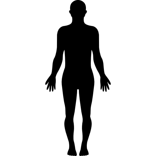 sistema genitourinario