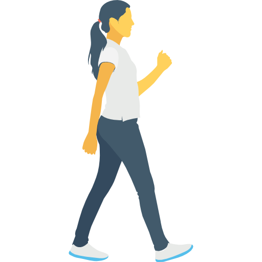 sistema osteomuscular